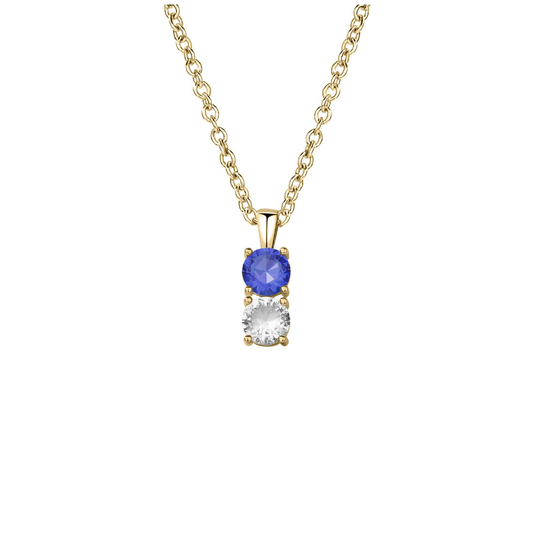 SYP Vertical S925 Sterling Silver Birthstones Necklace 2